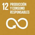 Objetivo de Desarrollo Sostenible 12